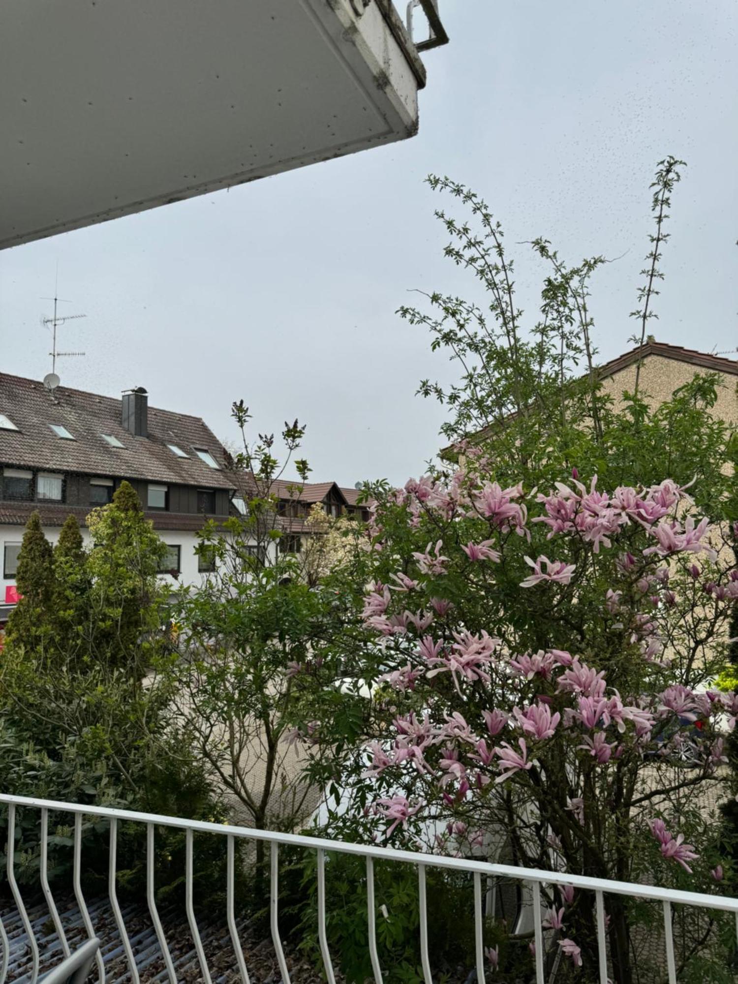 See-Hotel Seeschau - Direkt Am Bodenseeufer Reichenau Εξωτερικό φωτογραφία